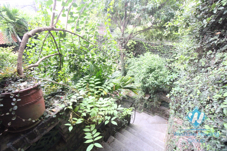 A unique villa with a luscious garden and swimming pool for rent in Tay Ho